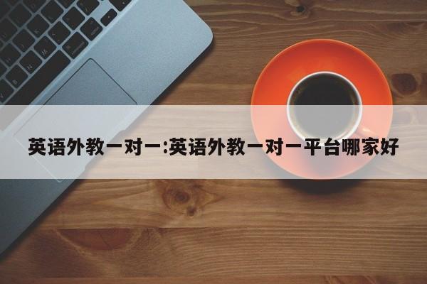 英语外教一对一：英语外教一对一平台哪家好