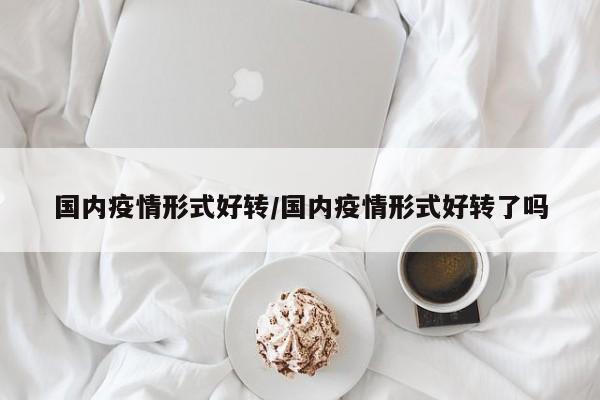 国内疫情形式好转／国内疫情形式好转了吗