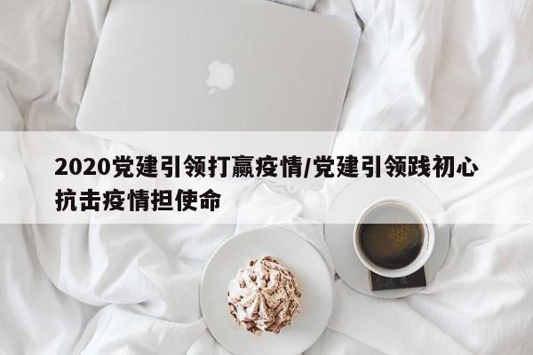 2020党建引领打赢疫情／党建引领践初心抗击疫情担使命