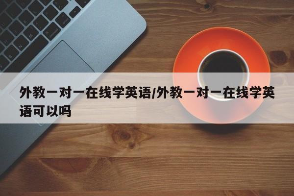 外教一对一在线学英语／外教一对一在线学英语可以吗